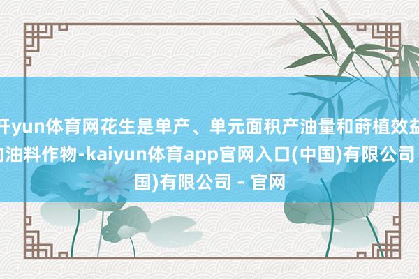 开yun体育网花生是单产、单元面积产油量和莳植效益最高的油料作物-kaiyun体育app官网入口(中国)有限公司 - 官网