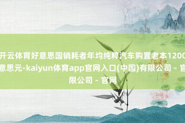 开云体育好意思国销耗者年均纯粹汽车购置老本1200好意思元-kaiyun体育app官网入口(中国)有限公司 - 官网