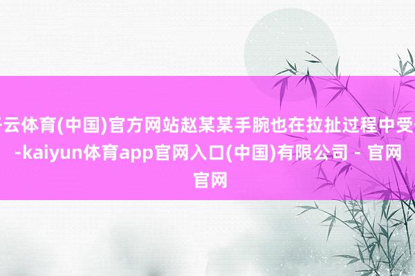 开云体育(中国)官方网站赵某某手腕也在拉扯过程中受伤-kaiyun体育app官网入口(中国)有限公司 - 官网
